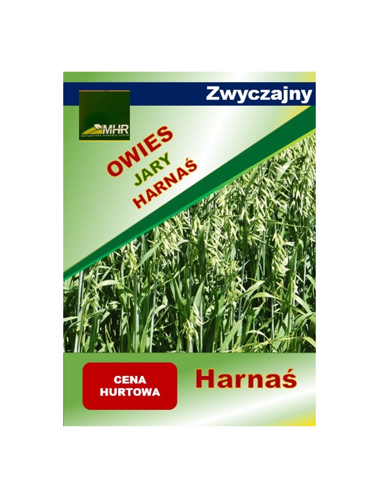 Nasiona owsa jarego HARNAŚ-ulotka Nasiona owsa jarego HARNAŚ-ulotka