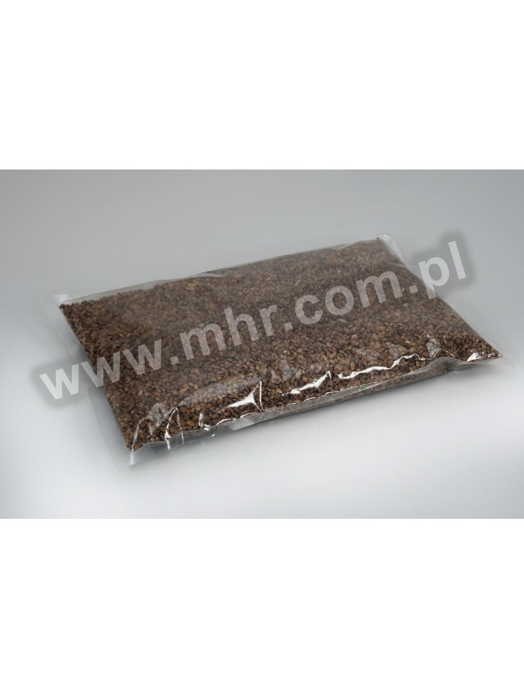 Nasiona esparcety siewnej C1- TAJA