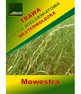 Nasiona życicy wielokwiatowej  westerwoldzkiej- MOWESTRA- ulotka