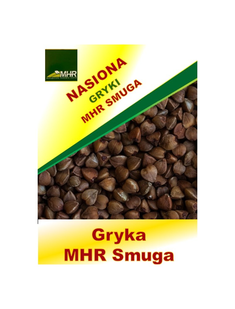Nasiona gryki- MHR SMUGA