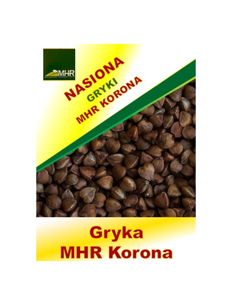 Nasiona gryki -MHR KORONA- ulotka
