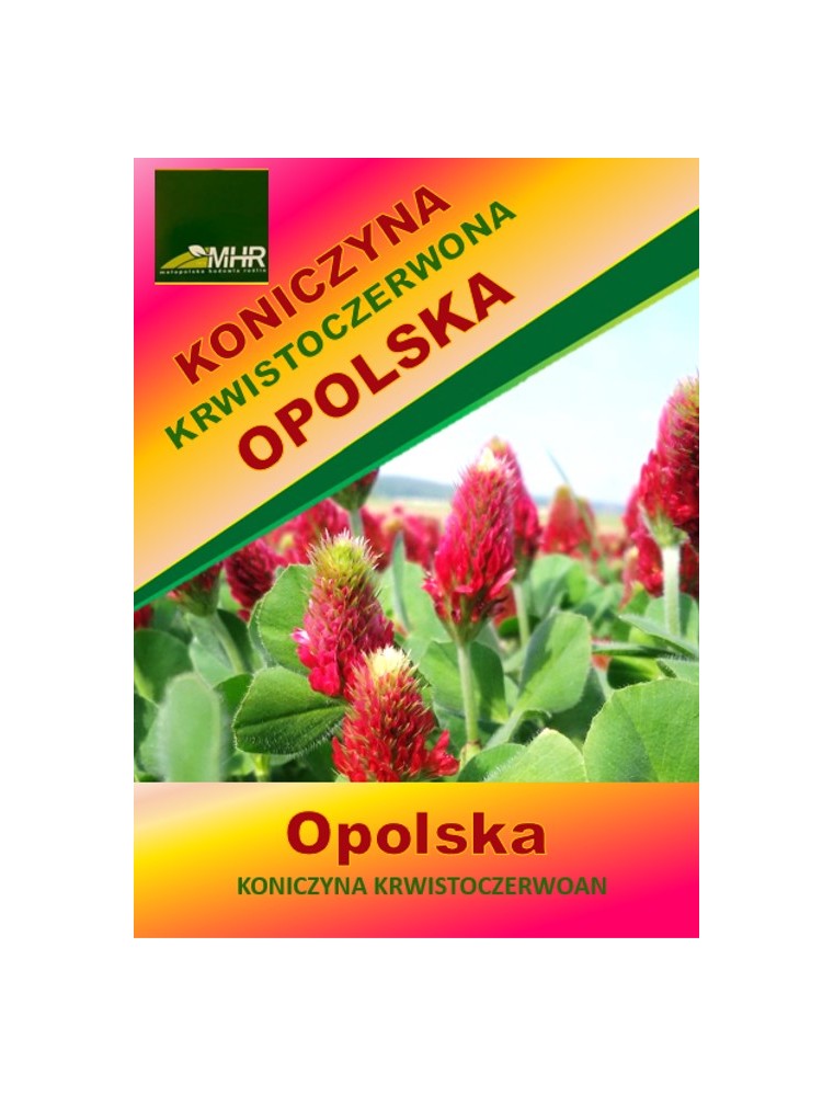 Nasiona koniczyny krwistoczerwonej-OPOLSKA (inkarnatka)-ulotka