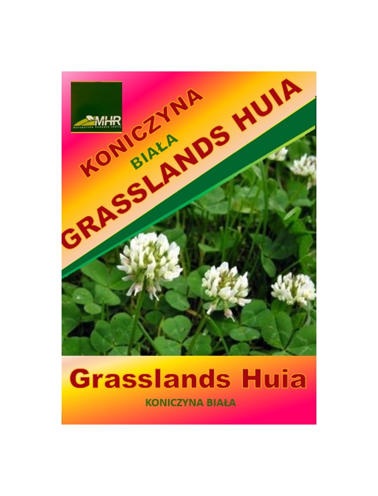Nasiona koniczyny białej Grasslands Huia -ulotka