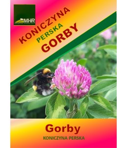 Nasiona koniczyny perskiej- GORBY -ulotka