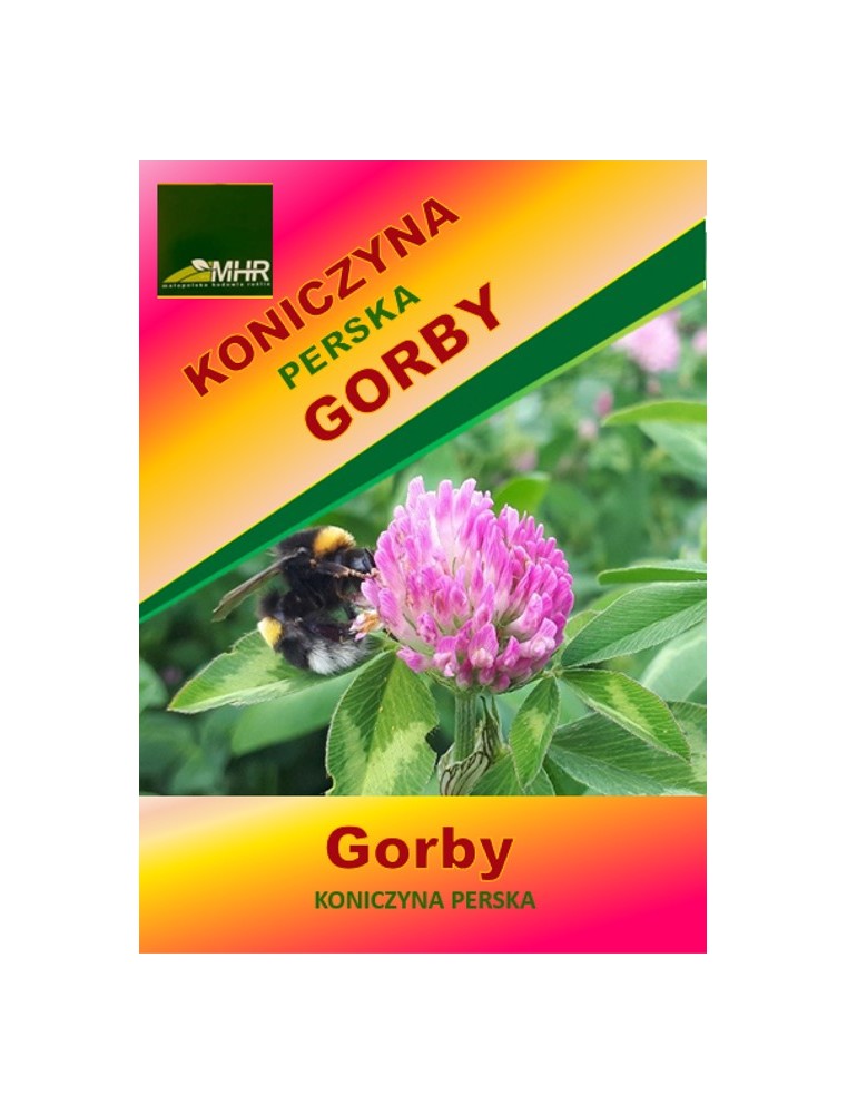 Nasiona koniczyny perskiej- GORBY -ulotka Nasiona koniczyny perskiej- GORBY -ulotka