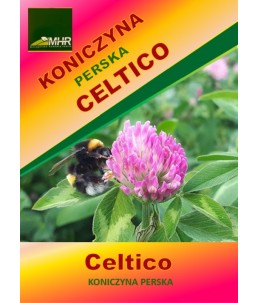 Nasiona koniczyny perskiej- CELTICO- ulotka
