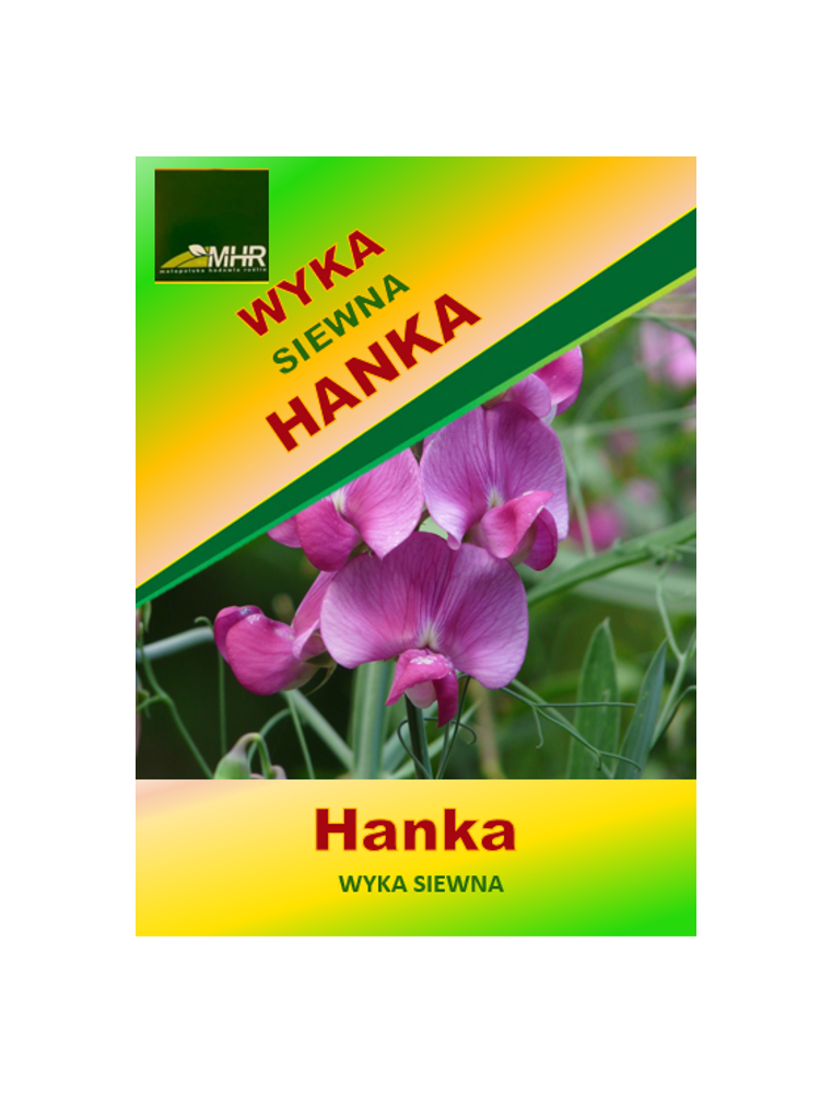 Nasiona wyki siewnej Hanka C/1