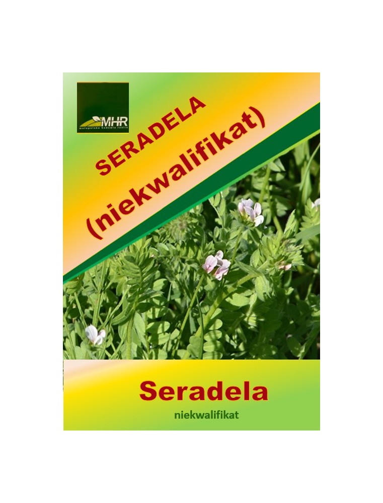 Nasiona seradeli (niekwalifikat) Nasiona seradeli (niekwalifikat)