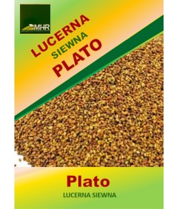 Nasiona lucerny siewnej Plato