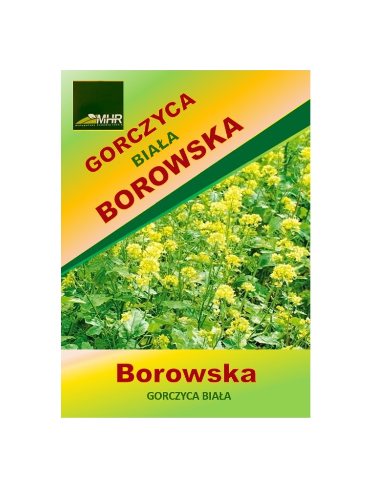 Nasiona gorczycy białej Borowskiej-ulotka