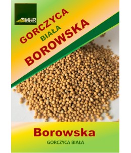 Nasiona gorczycy białej Borowskiej -ziarna
