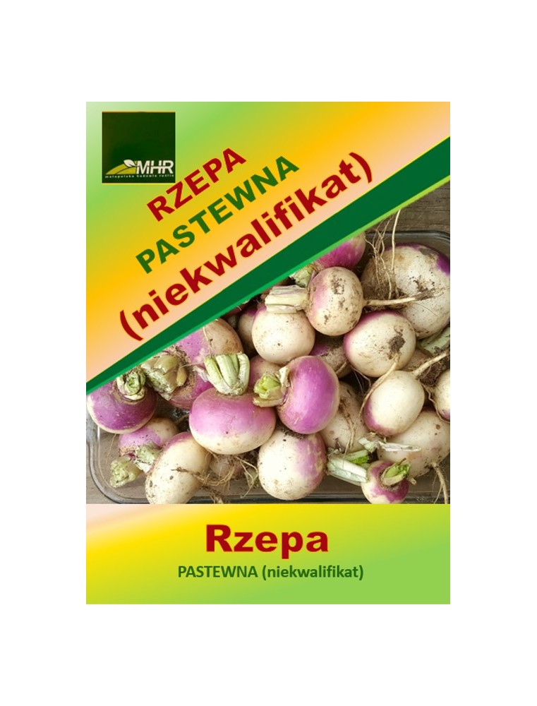 Nasiona rzepy pastewnej -ulotka Nasiona rzepy pastewnej -ulotka