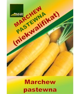 Nasiona marchwi pastewnej (niekwalifikat)