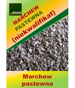 Nasiona marchwi pastewnej (niekwalifikat)