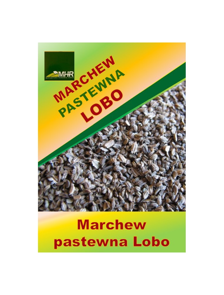 Nasiona marchwi pastewnej - LOBO