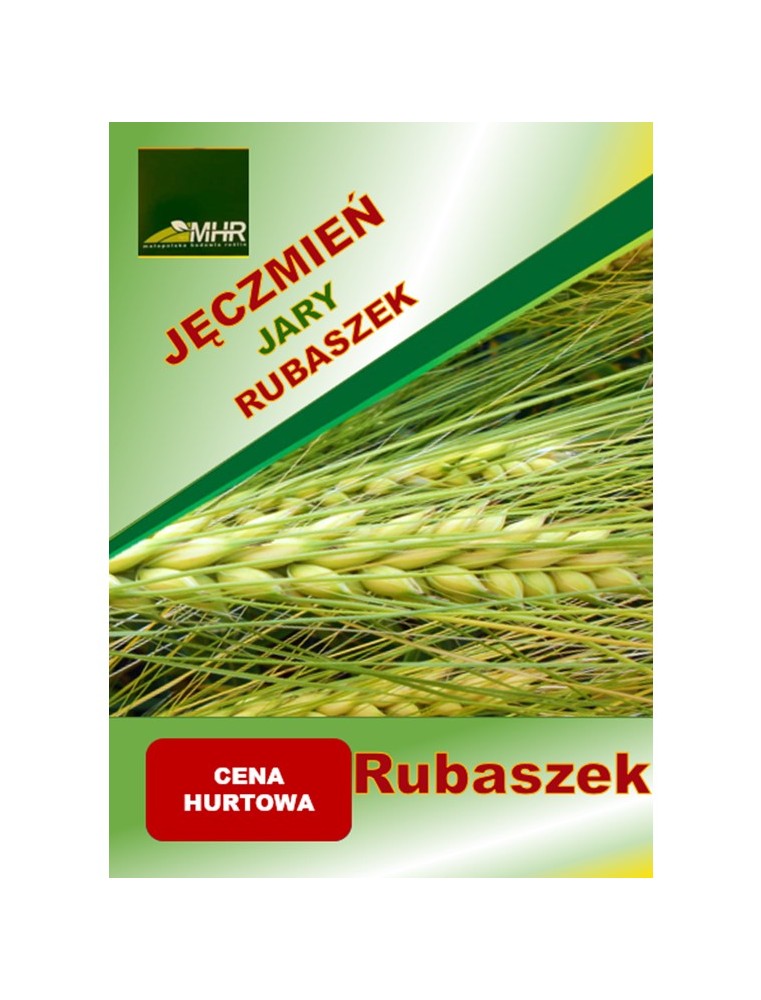 Nasiona jęczmienia jarego RUBASZEK-ulotka