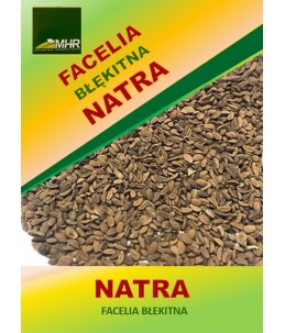 Nasiona facelii błękitnej Natra -nasiona