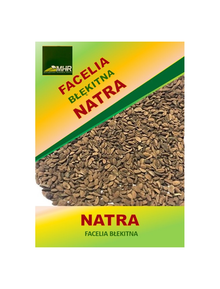 Nasiona facelii błękitnej Natra -nasiona