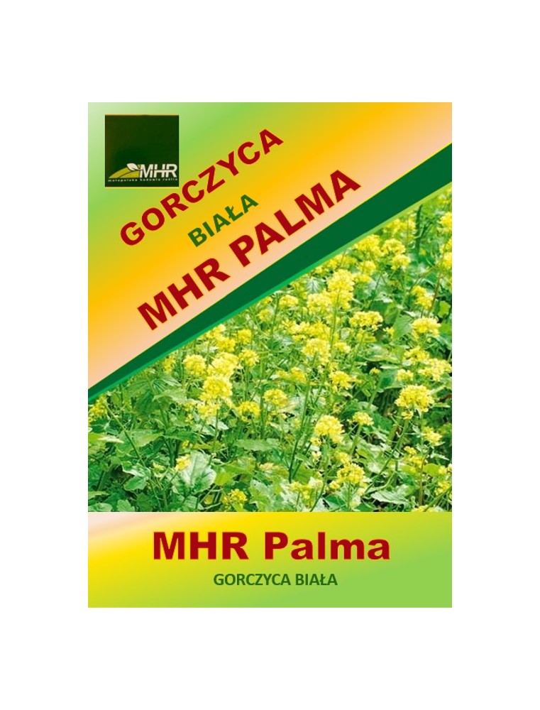 Nasiona gorczycy białej MHR PALMA C/1- kwiat
