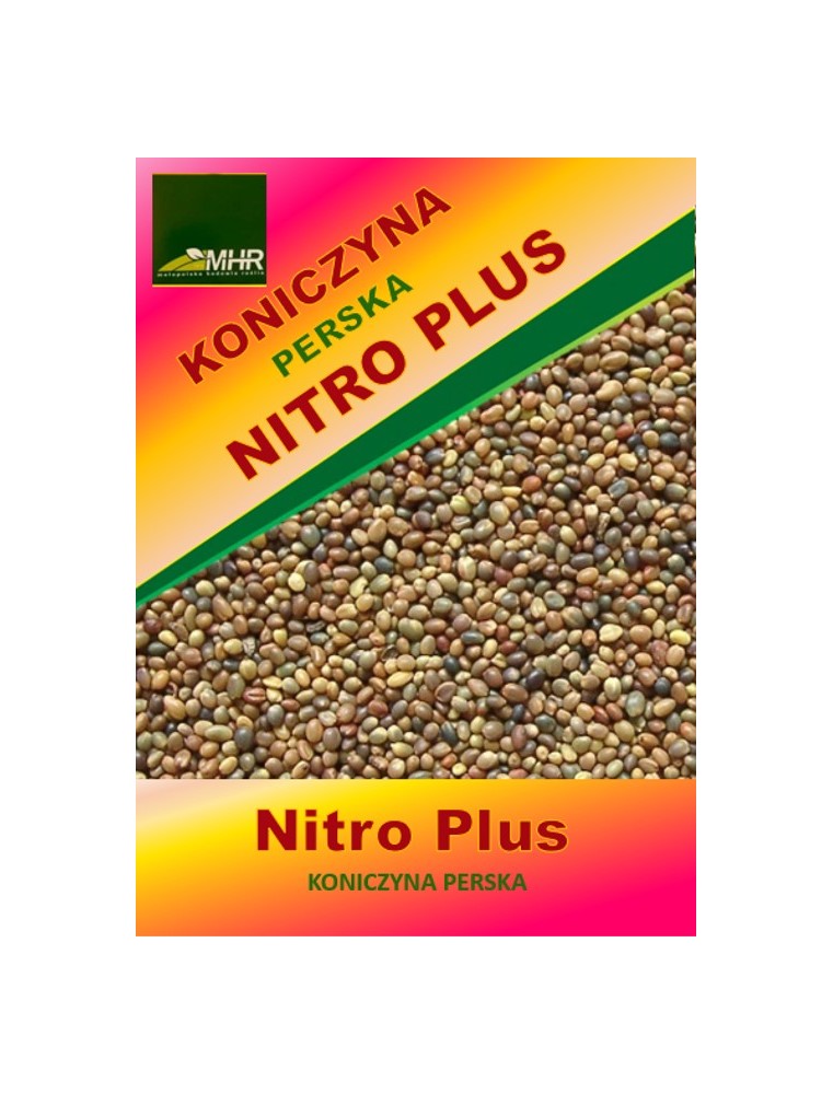 Nasiona koniczyny perskiej- Nitro Plus