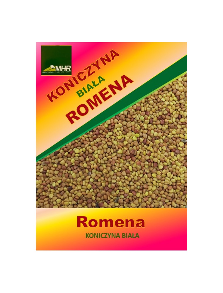 Nasiona koniczyny białej Romena- nasiona