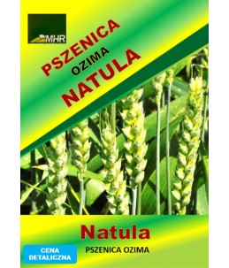Nasiona pszenicy ozimej - NATULA (A) a'50