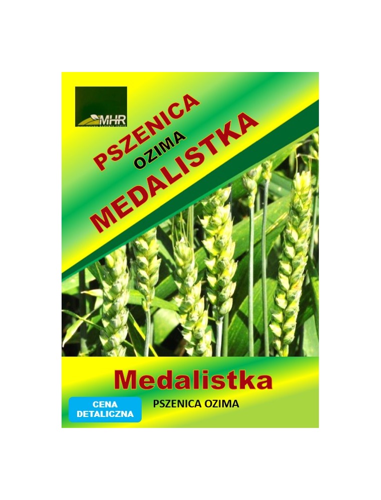 Nasiona pszenicy ozimej - MEDALISTKA (B)
