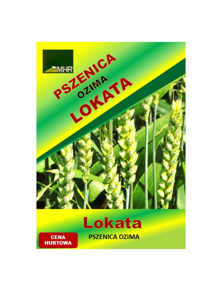 Nasiona pszenicy ozimej - LOKATA (A)