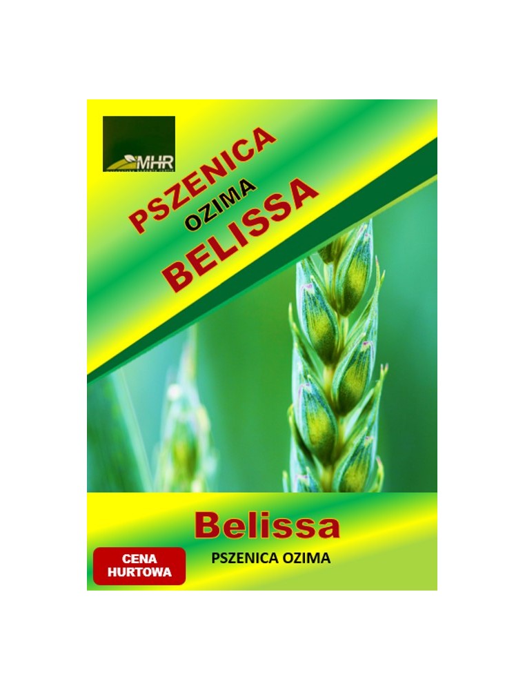 Nasiona pszenicy ozimej - BELISSA