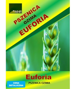 Nasiona pszenicy ozimej – EUFORIA