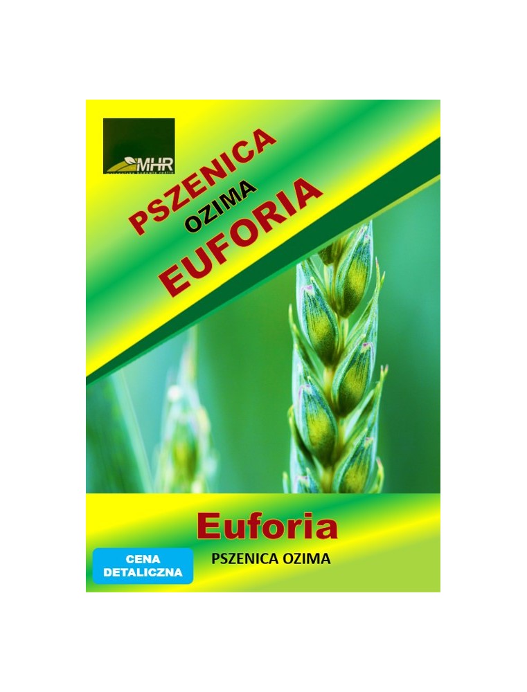 Nasiona pszenicy ozimej – EUFORIA