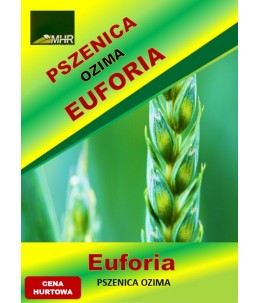 Nasiona pszenicy ozimej – EUFORIA (A/E)