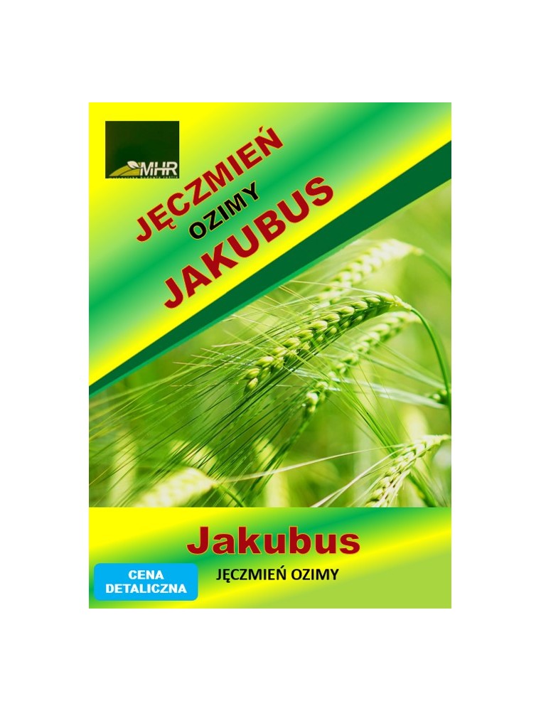 Nasiona jęczmienia ozimego – JAKUBUS