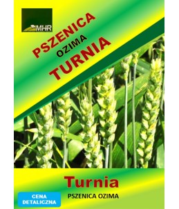 Nasiona pszenicy ozimej - TURNIA (A)
