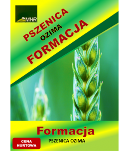 Nasiona pszenicy ozimej –FORMACJA hurt (1 tona)