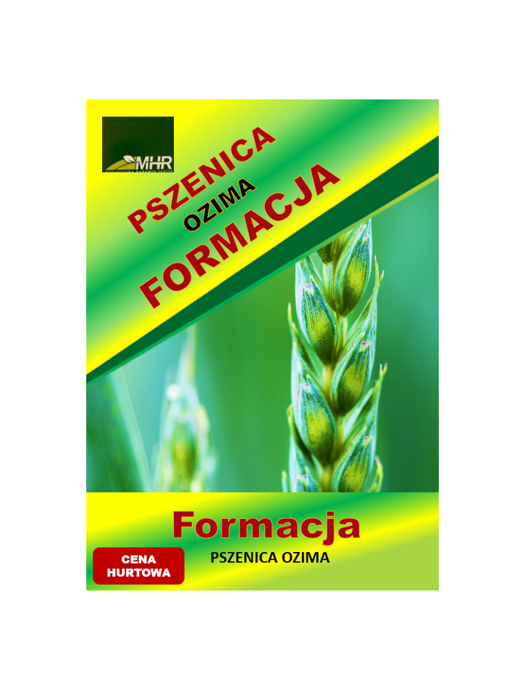 Nasiona pszenicy ozimej –FORMACJA hurt (1 tona)