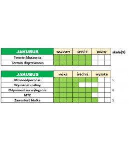 Nasiona jęczmienia ozimego – JAKUBUS
