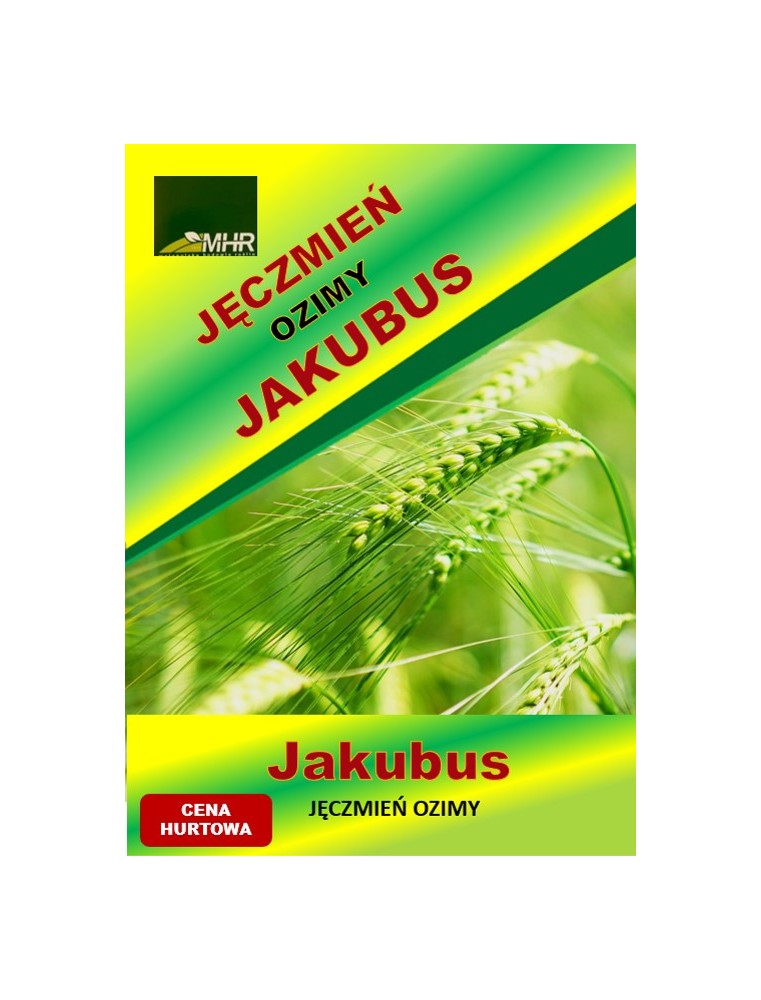 Nasiona jęczmienia ozimego – JAKUBUS