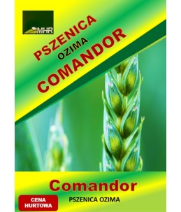 Nasiona pszenicy ozimej - COMANDOR