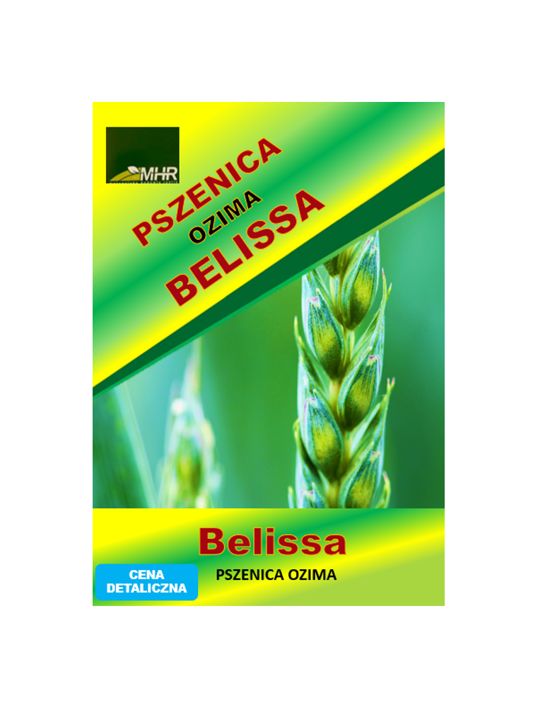 Nasiona pszenicy ozimej - BELISSA