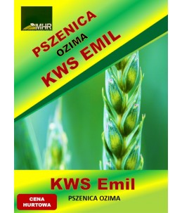 Nasiona pszenicy ozimej - KWS EMIL