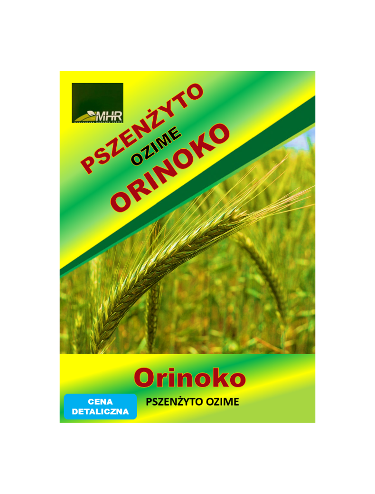 Nasiona pszenżyta ozimego – ORINOKO