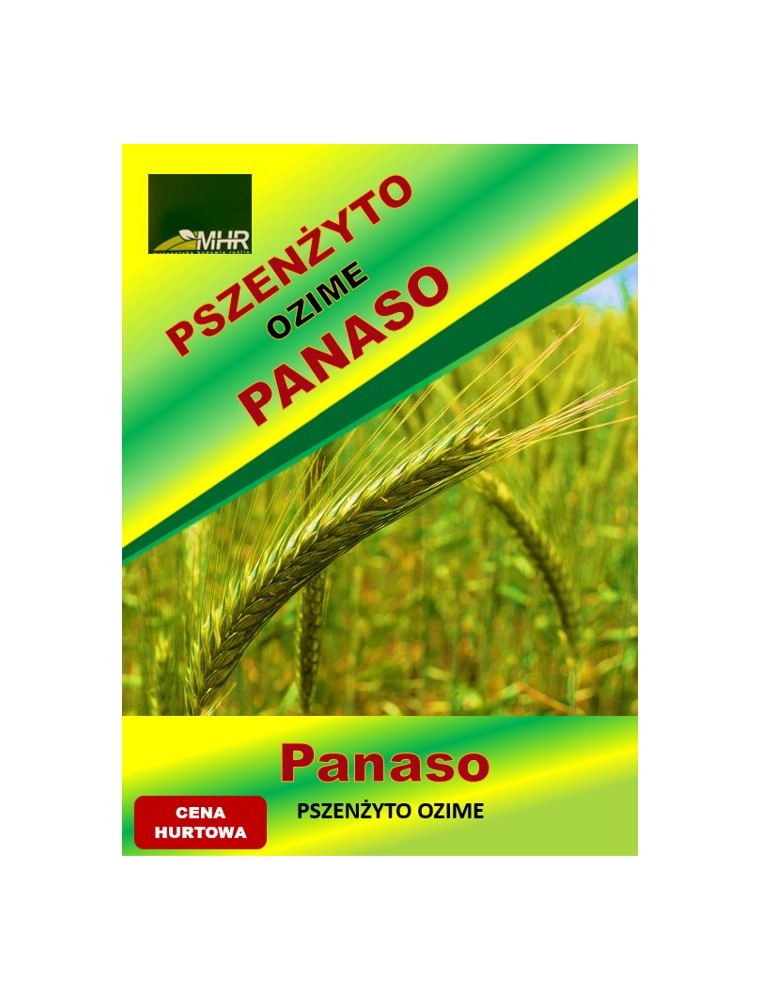 Nasiona pszenżyta ozimego – PANASO