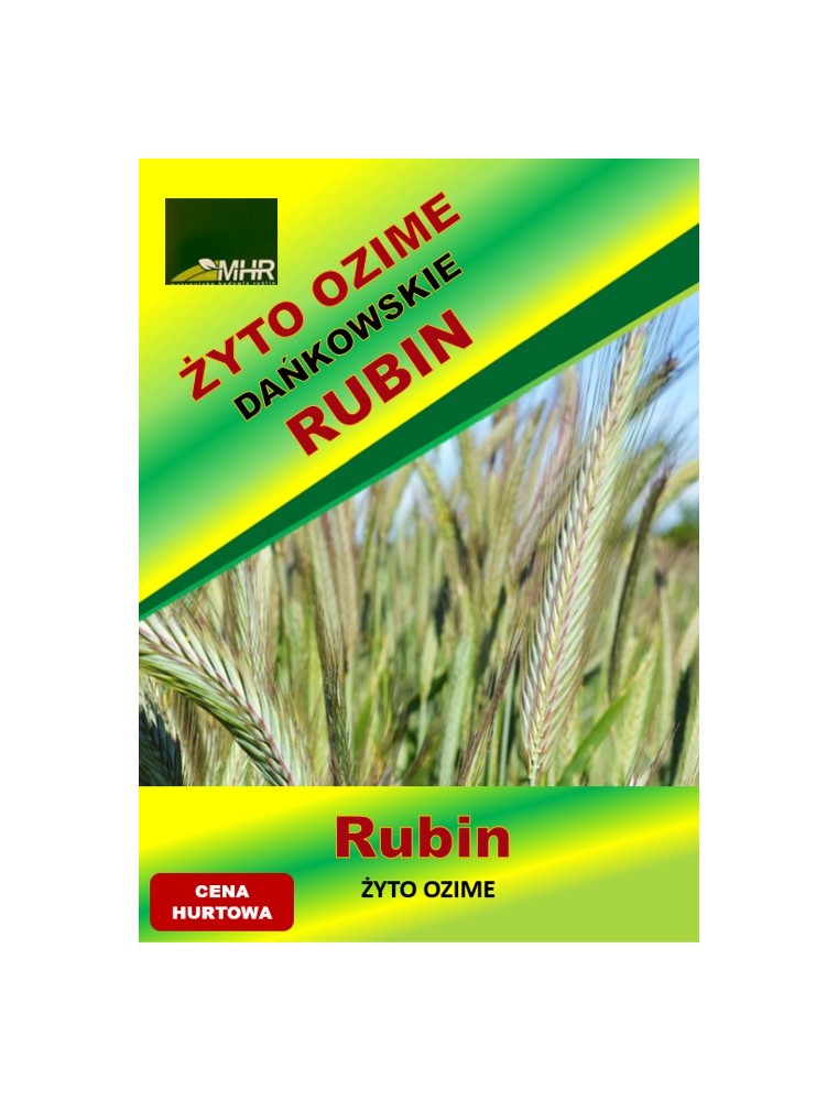 Nasiona żyta ozimego - DAŃKOWSKIE RUBIN