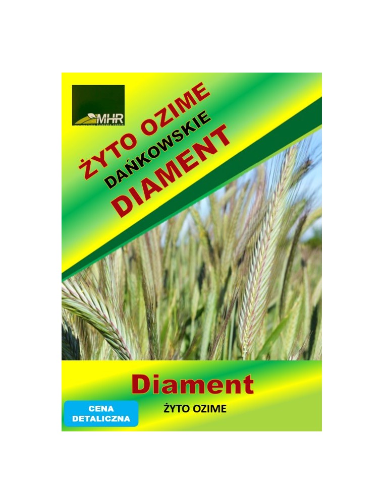 Nasiona żyta ozimego - DAŃKOWSKIE DIAMENT a'50