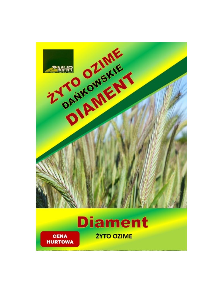 Nasiona żyta ozimego - DAŃKOWSKIE DIAMENT