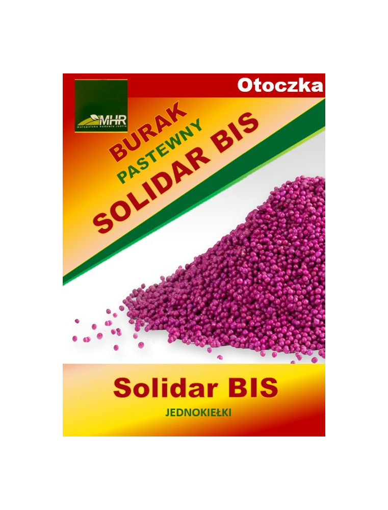 Nasiona buraka pastewnego otoczkowany - SOLIDAR BIS