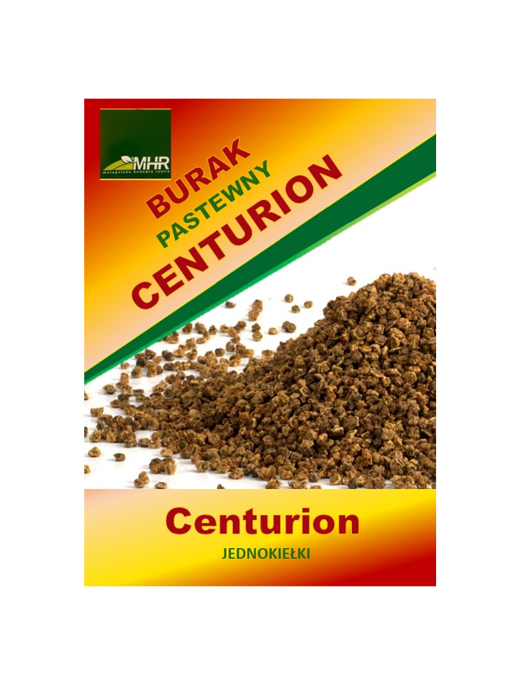 Nasiona buraka pastewnego- CENTURION