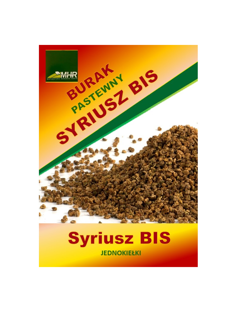 Nasiona buraka pastewnego- SYRIUSZ BIS