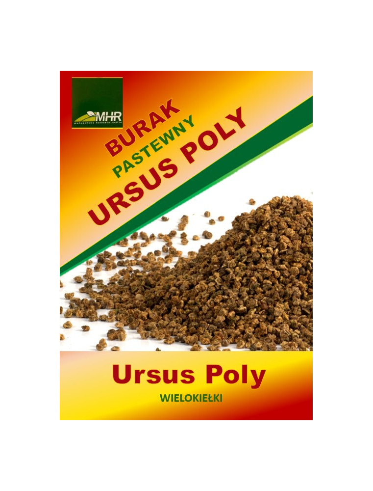 Nasiona buraka pastewnego - Ursus Poly